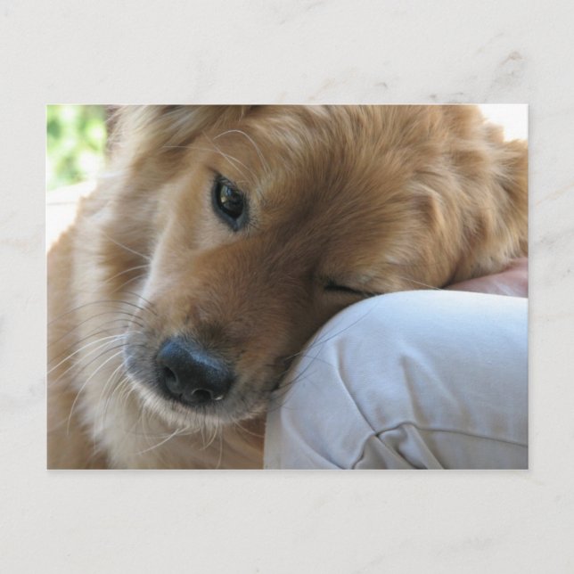 Liebe Postkarte (Vorderseite)