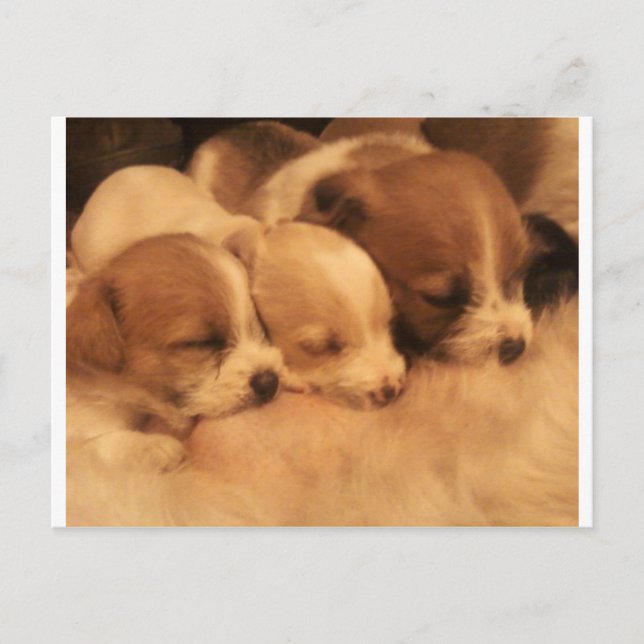 Liebe Postkarte (Vorderseite)