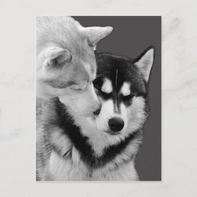 Liebe Postkarte (Vorderseite)