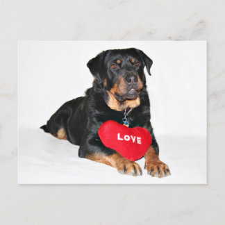 Liebe Postkarte