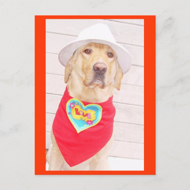 Liebe Postkarte (Vorderseite)