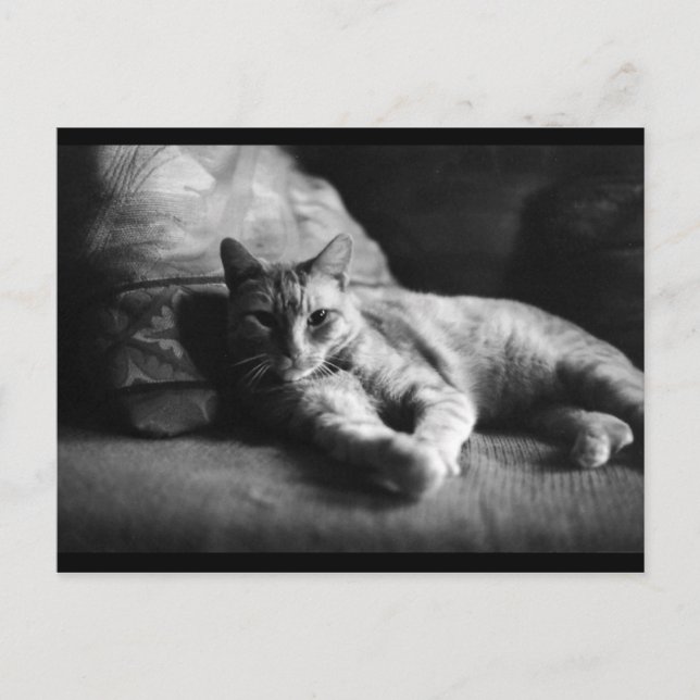 Liebe Postkarte (Vorderseite)