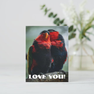 Liebe Postkarte