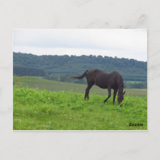 Liebe Postkarte