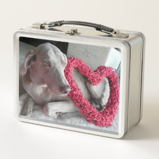 Liebe, Regen - Weimaraner Hund Metall Brotdose