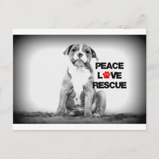 Liebe rettet Hund Postkarte