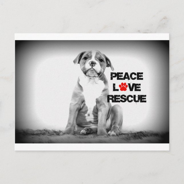 Liebe rettet Hund Postkarte (Vorderseite)