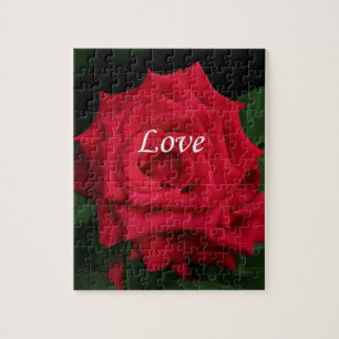 Liebe romantische rote Rose für Valentine's, Gebur