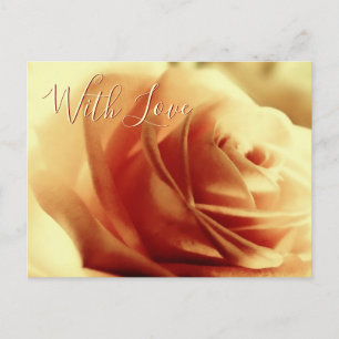 Liebe Rose Blume Anpassbare Postkarte