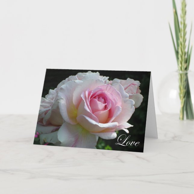 Liebe Rose Card Karte (Vorderseite)