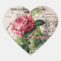 Liebe Rose