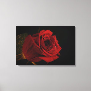 Liebe rote Rose Leinwanddruck