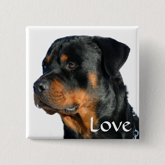 Liebe Rottweiler Black & Brown Puppy-Hund-Button Button (Vorderseite)