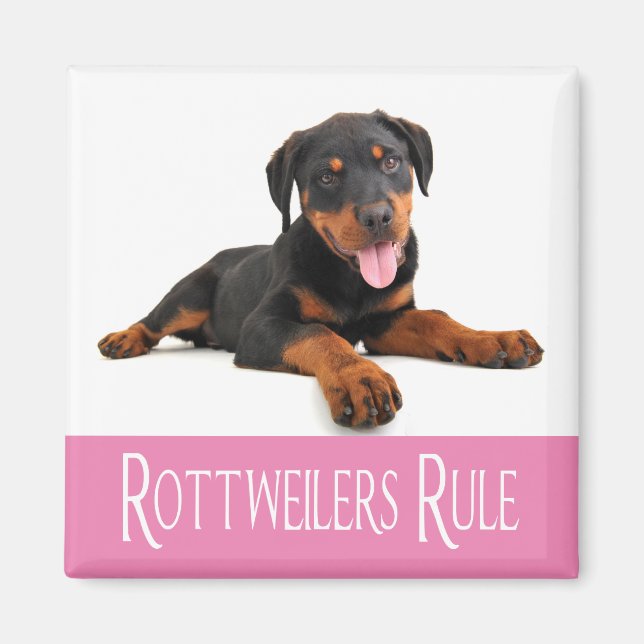 Liebe Rottweiler Welpenhund Magnet (Vorne)
