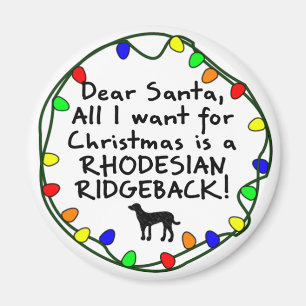 Liebe Sankt Rhodesian Ridgeback Magnet