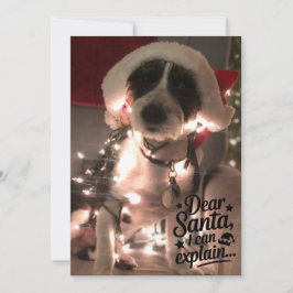 Liebe Santa I kann erklären (Hund) Karte