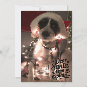 Liebe Santa I kann erklären (Hund) Karte