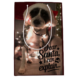 Liebe Santa I kann erklären (Hund) Mittlere Geschenktüte