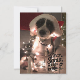 Liebe Santa I kann erklären (Hund) Postkarte