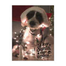 Liebe Santa I kann erklären (Hund)