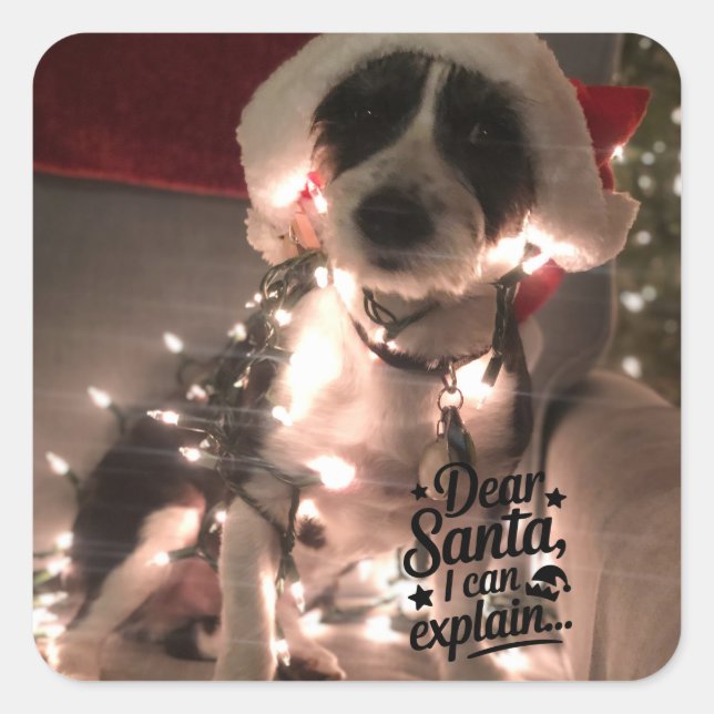 Liebe Santa I kann erklären (Hund) Quadratischer Aufkleber (Vorderseite)