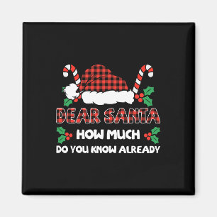 Liebe Santa, wie viel wissen Sie schon Weihnachten Magnet