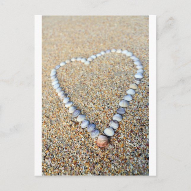 Liebe Sea Muschel am Sandstrand Postkarte (Vorderseite)