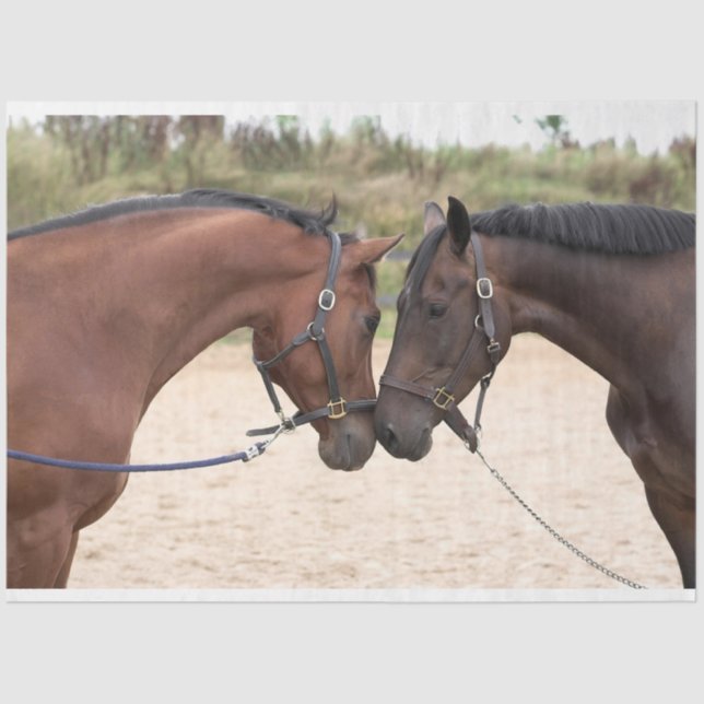 Liebe Seidenpapier (Vorderseite)