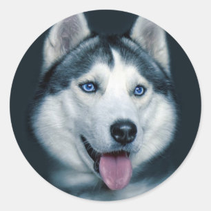 Liebe Siberian Husky Welpe Hund Gruß Sticker