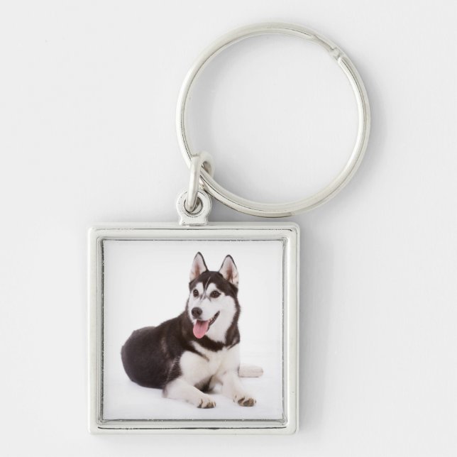 Liebe Siberischer Husky Welpe Dog Portrait Schlüss Schlüsselanhänger (Vorne)