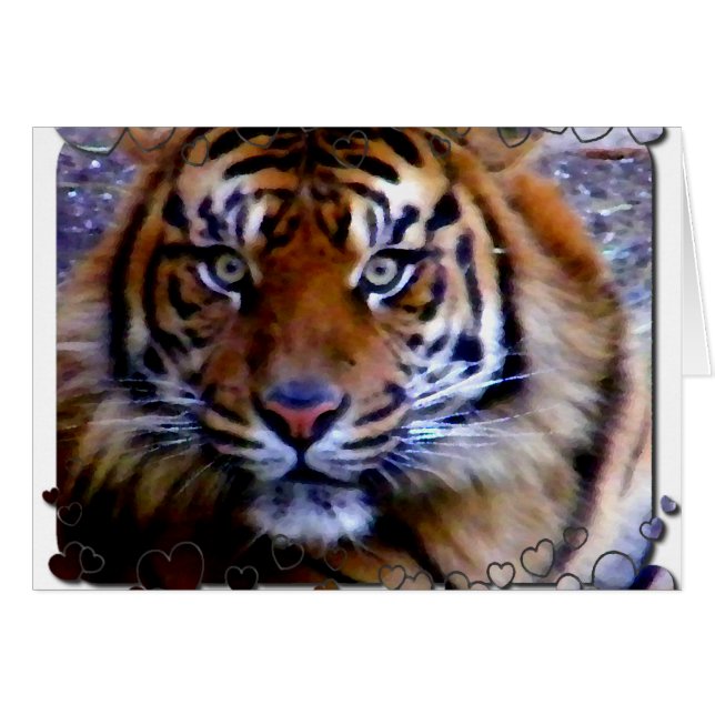 Liebe Sie_ (Vorderseite (Horizontal))