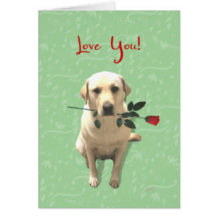 Liebe Sie Karte, Retriever Dog mit Rose, Adorable