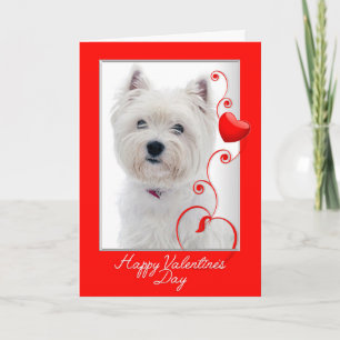 Liebe Sie mehr! Westie Valentinsgruß Feiertagskarte