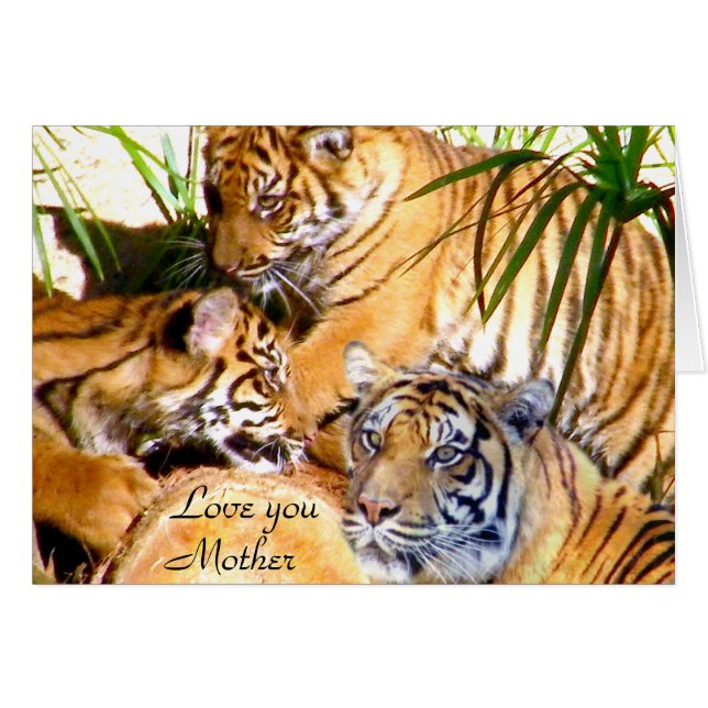 Liebe Sie, Mutter_ (Vorderseite (Horizontal))