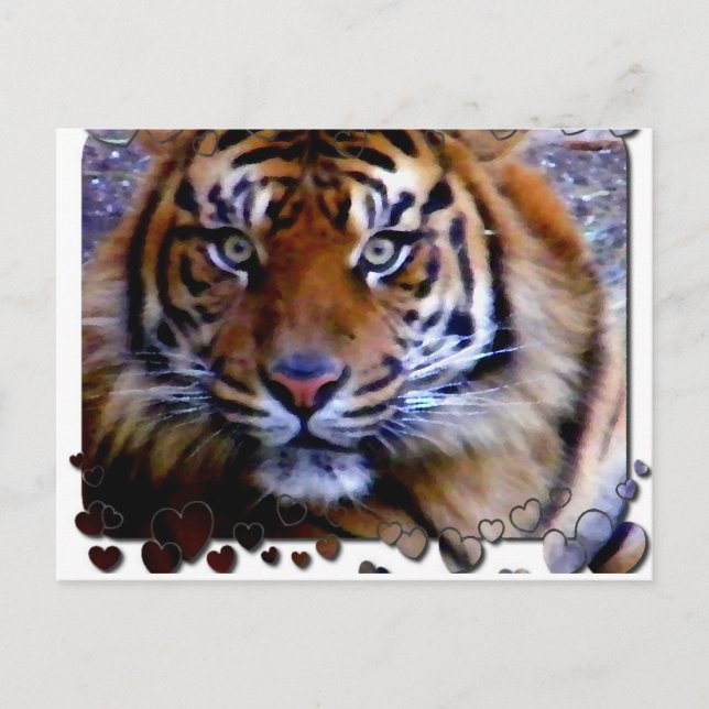 Liebe Sie_ Postkarte (Vorderseite)