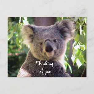 Liebe Sie_ Postkarte