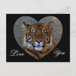 Liebe Sie_ Postkarte