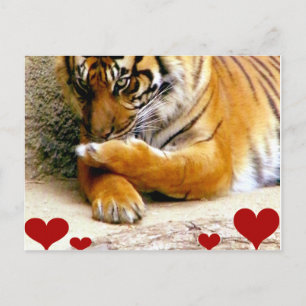 Liebe Sie_ Postkarte