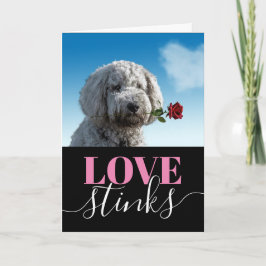 Liebe Stinks Funny Foto Valentinstag Urlaub Ca Feiertagskarte