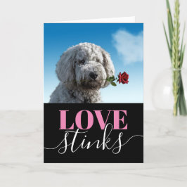 Liebe Stinks Funny Foto Valentinstag Urlaub Ca Feiertagskarte