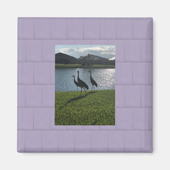 Liebe Storks Magnet (Vorne)