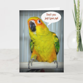 Liebe Sun Conure Feiertagskarte