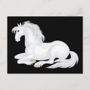 Liebe Süßes Weißes Pferd Reitsport Pferde Pony Postkarte