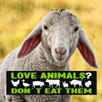 Liebe Tiere? Nicht essen, Veganer Aktivismus