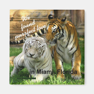 Liebe-Tiger-Kühlschrankmagnet Miamis Florida Magnet