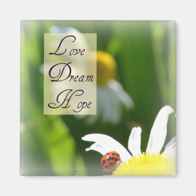 Liebe, Traum, Hoffnung Ladybug Magnet (Vorne)