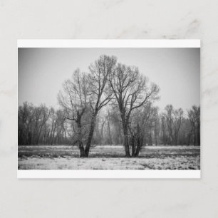 Liebe Trees Postkarte