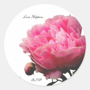 Liebe trifft auf Pink Peony Custom Umschlag Aufkle Runder Aufkleber
