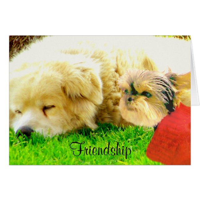 Liebe und Pflege, Hunde_ (Vorderseite (Horizontal))