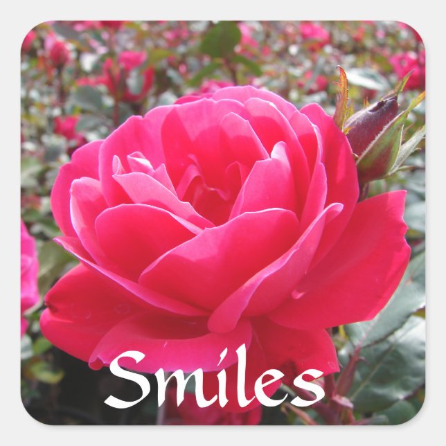Liebe und Romantik lächeln Rosa Liebe Aufkleber (Vorderseite)
